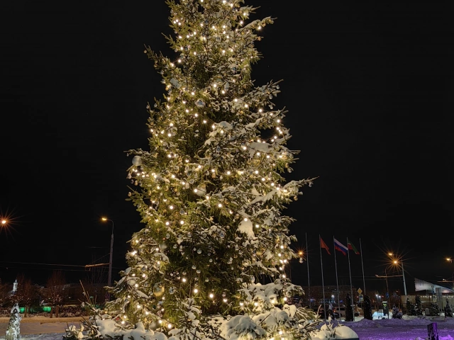 Новогодняя елка у ИТ парка имени Башира Рамеева