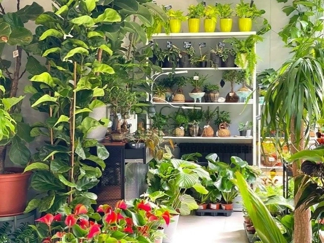 В гастрокомплексе &laquo;Кайт&raquo; на набережной Казанки пройдет маркет OSM &times; &laquo;Природа&raquo;