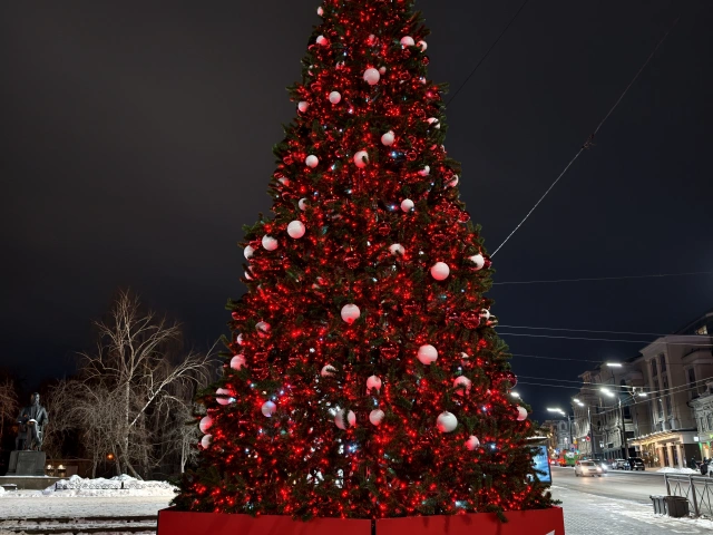 Ёлка на Ленинском саде