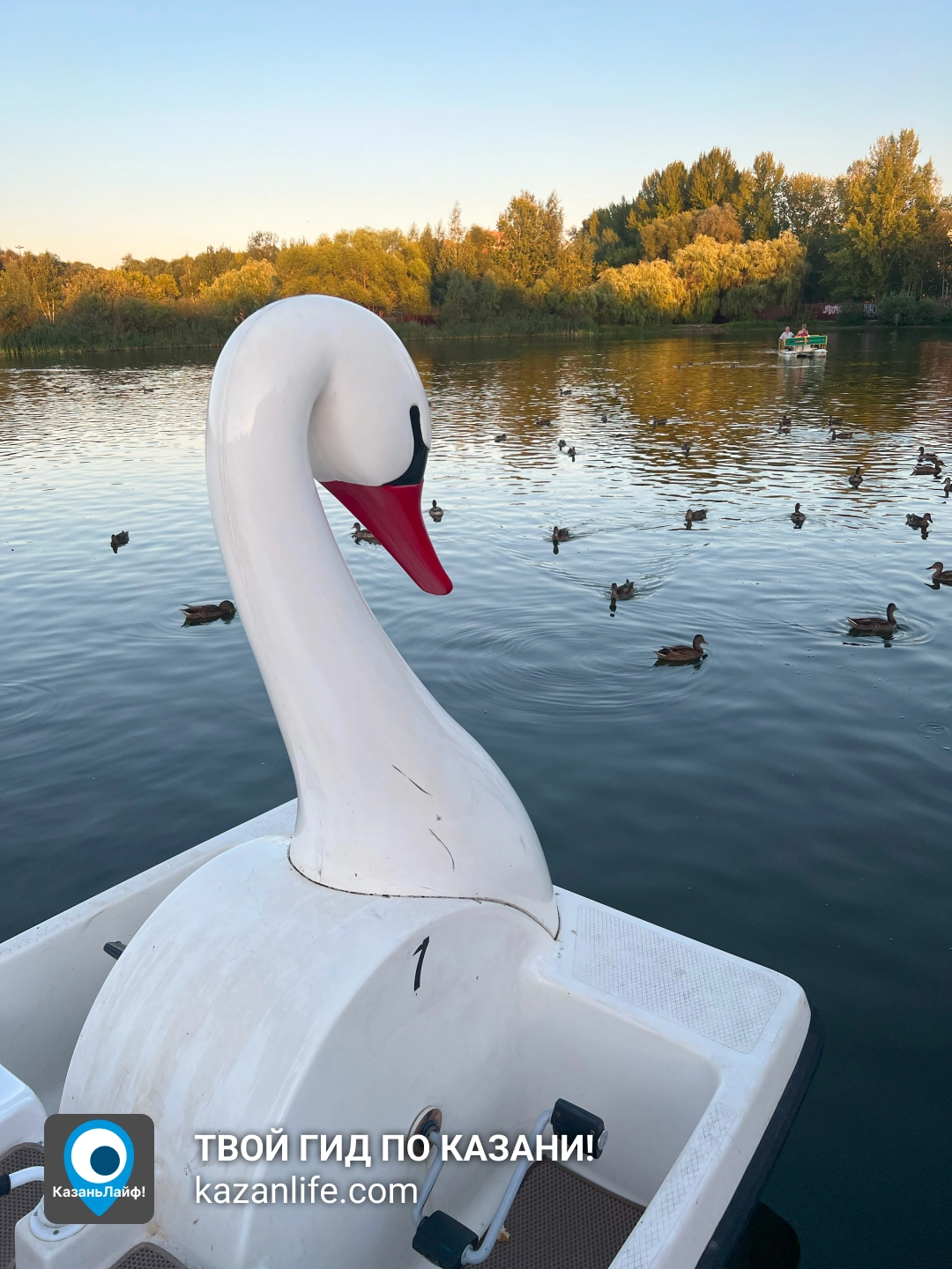 Маршрут от парка Победы до Чаши