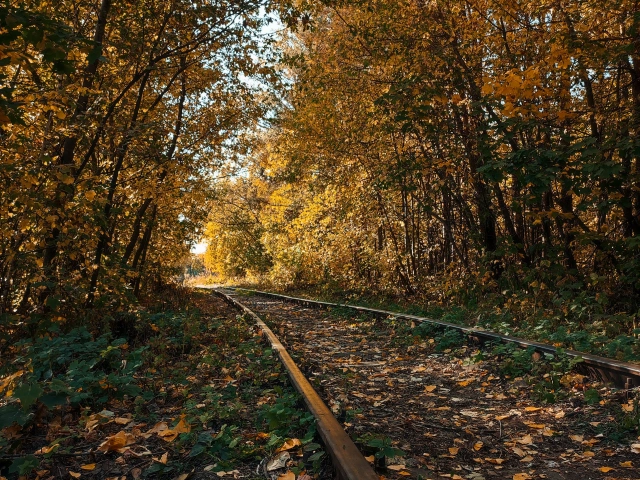 Заброшенные рельсы недалеко от станции Лагерная