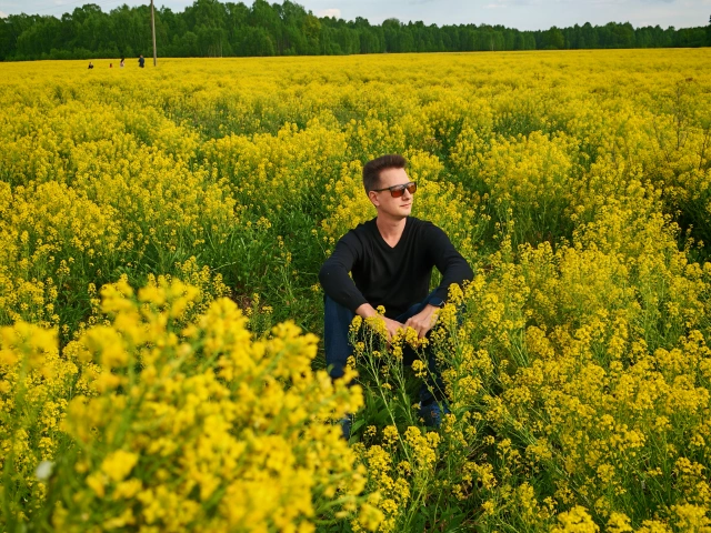 Желтое поле рядом с Казанью