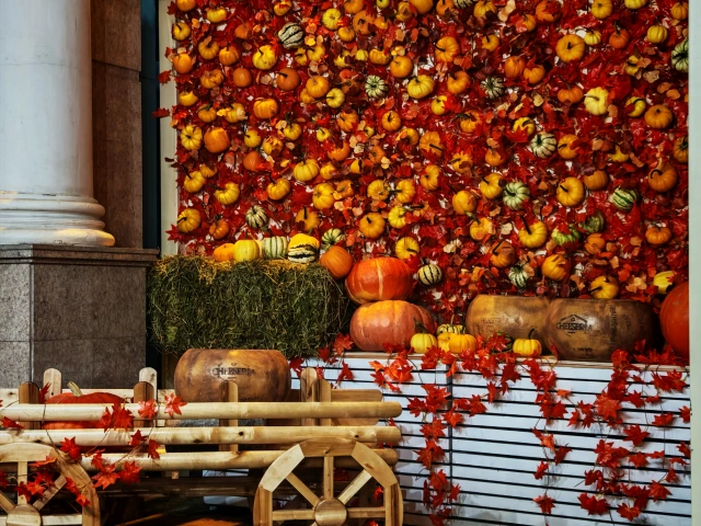 Осенняя фотозона у ресторана Чизерия на Баумана