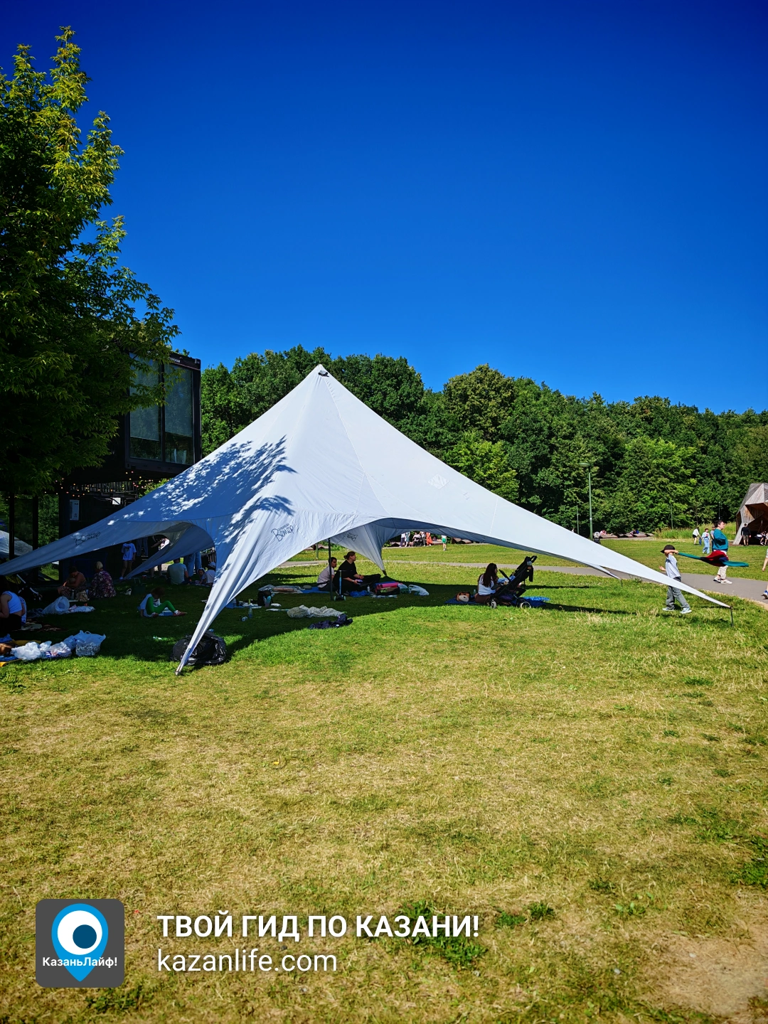 Горкинско-ометьевский лес