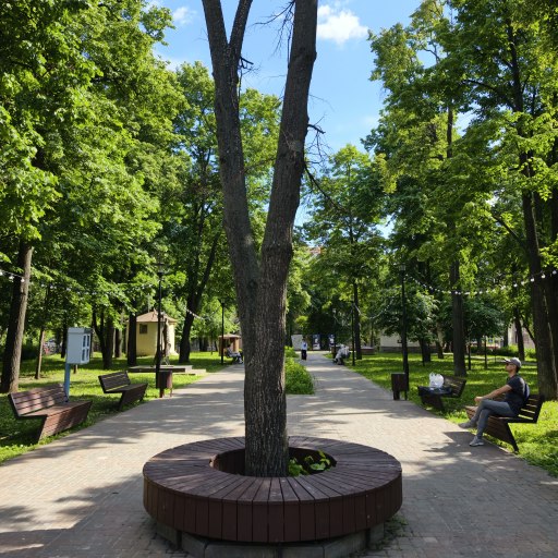 Сад Аксенова 3