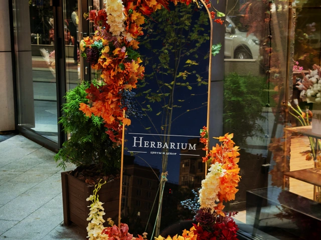 Зеркало у Herbarium