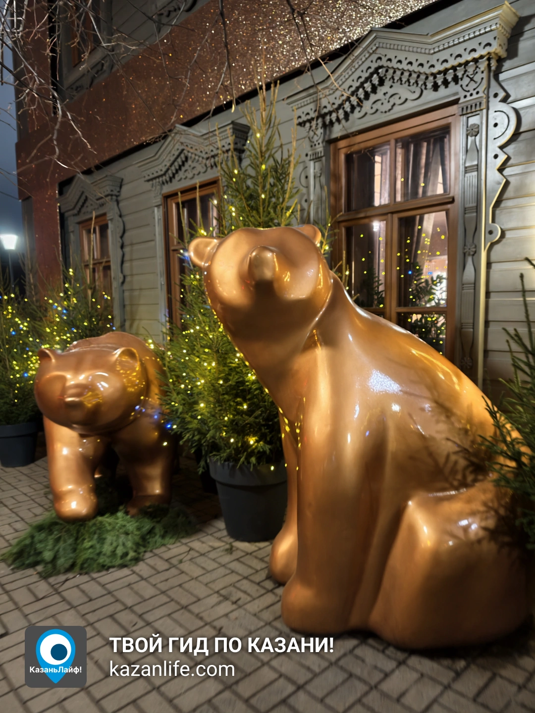 Новогодняя декорация у Вишня Золотая, Ульянова-Ленина, 65