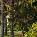 Сквер у Министерства финансов 1