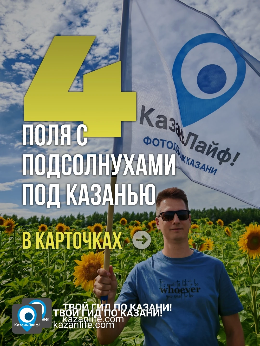 Где на полях растут подсолнухи