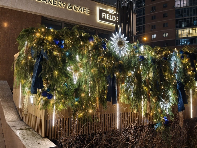 Новогодняя декорация у Fields, Мусина, 1