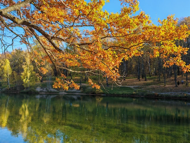 Осень на озере Комсомольское