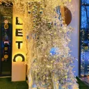 Ёлка у ресторана ЛЕТО 0