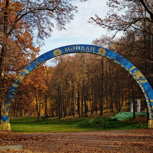 Березовая роща Дербышки 3