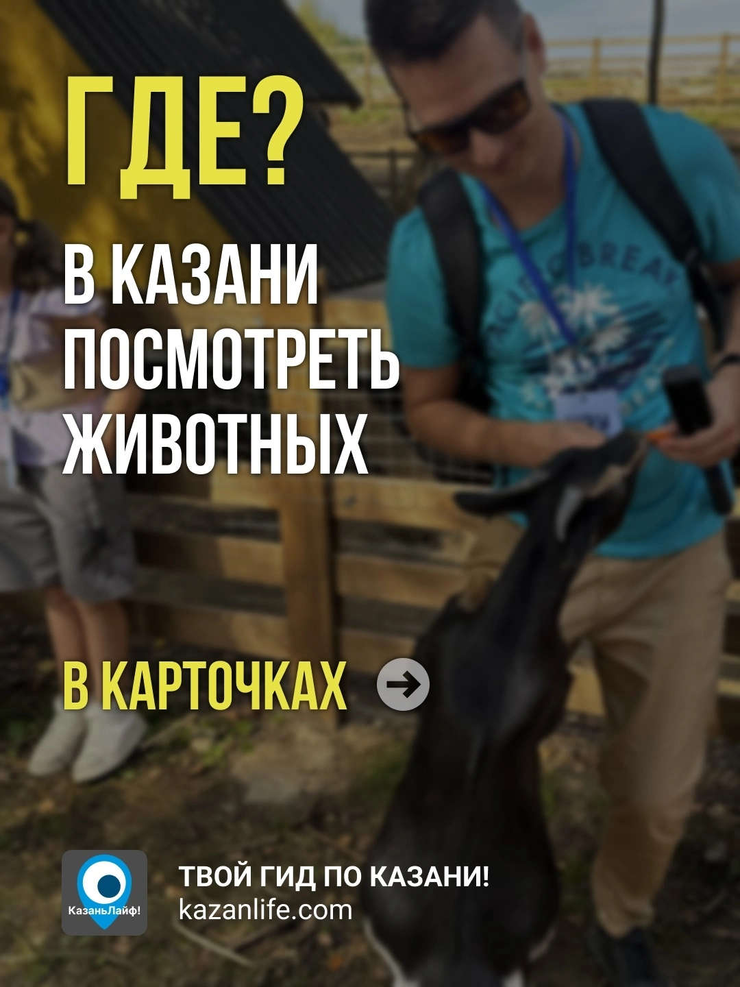 Где в Казани посмотреть на животных Где в Казани посмотреть на животных