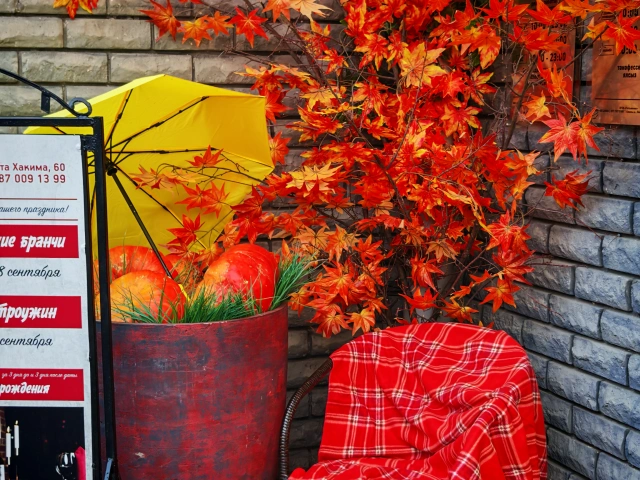 Осенняя фотозона Пельмения на Сибгата Хакима, 60