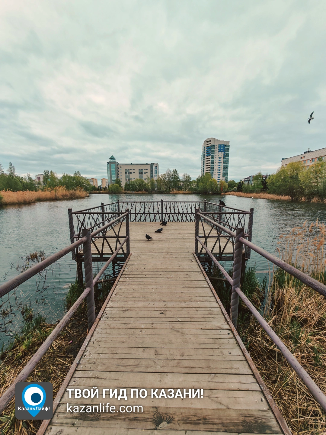 Набережная Экопарк Озеро Харовое