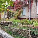 Декорация из плюща на подъезде дома, Декабристов, 162 4