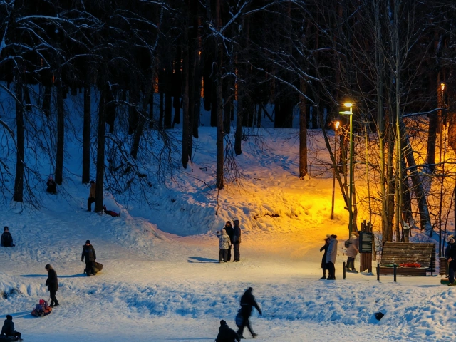 Горки на озере Комсомольское