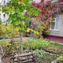 Декорация из плюща на подъезде дома, Декабристов, 162 3