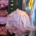 Декорация у Зунилабс 1