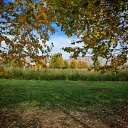 Сквер Школьников 0