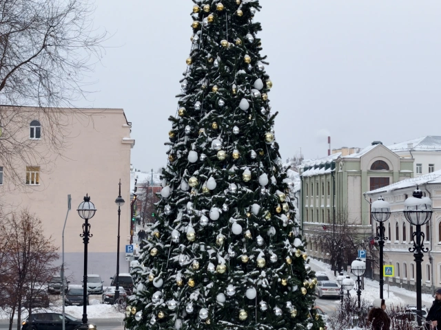 Новогодняя ёлка в сквере Зиланта