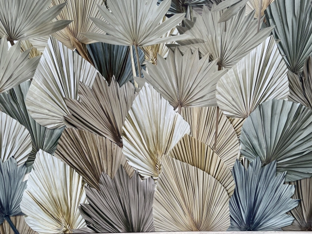 Стена с тропическим принтом в парке Черное озеро