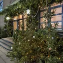 Ногай на Баумана 1