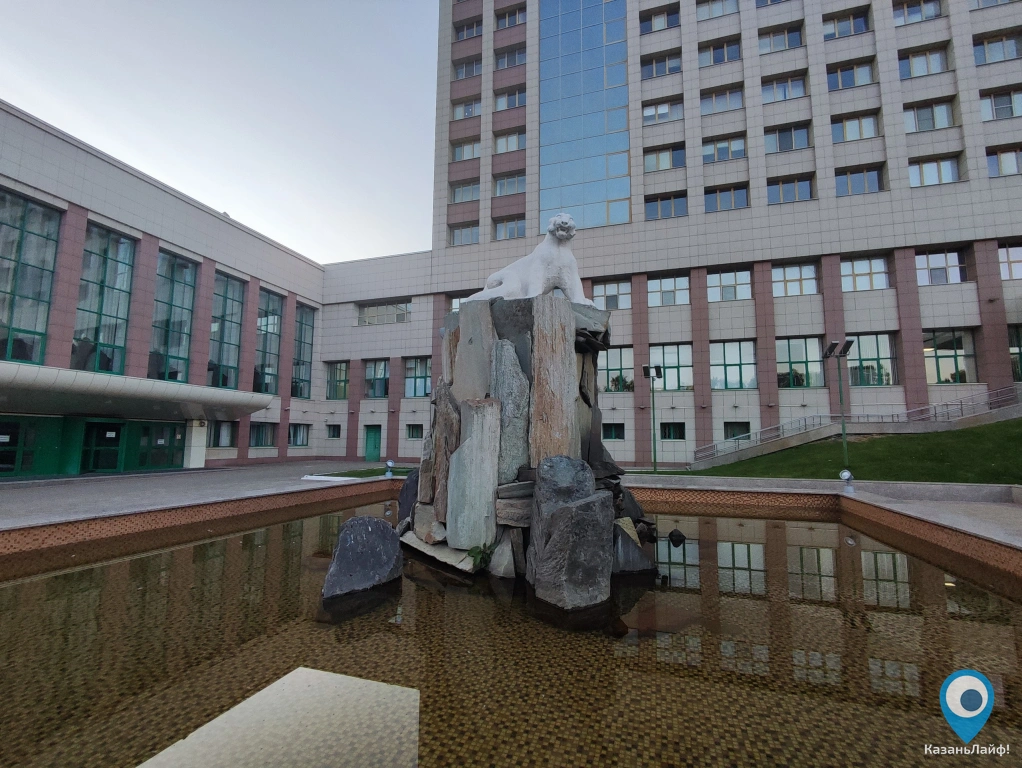 Фонтан Снежный барс на Декабристов, 1