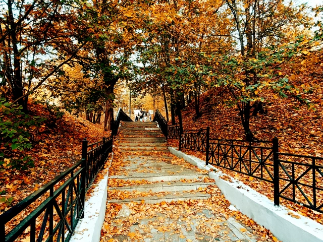 Лестница в сад Эрмитаж