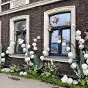 Декорация у V.Shopogolike 0