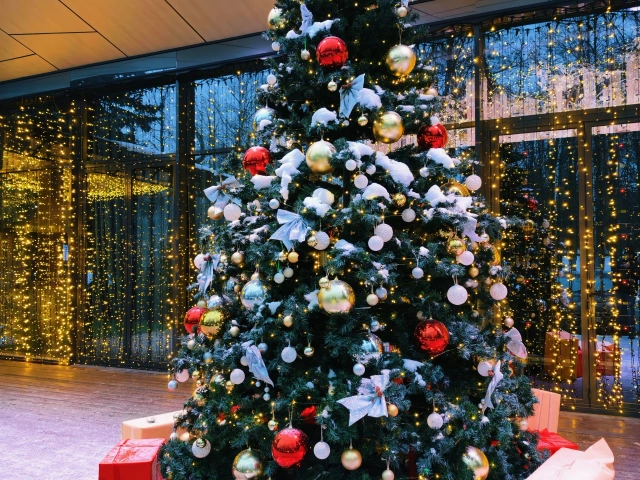 Ёлка у ресторана ЛЕТО