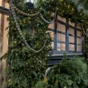 Ногай на Баумана 3