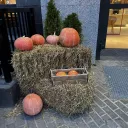 Осенняя фотозона с тыквами, сеном и скамейкой у входа в кафе Смородина на С.Хакима 51 0