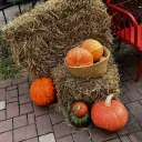 Осенняя фотозона с тыквами, сеном и скамейками у кафе Смородина на Щапова 43 1